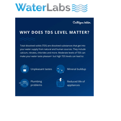 TDS Meter